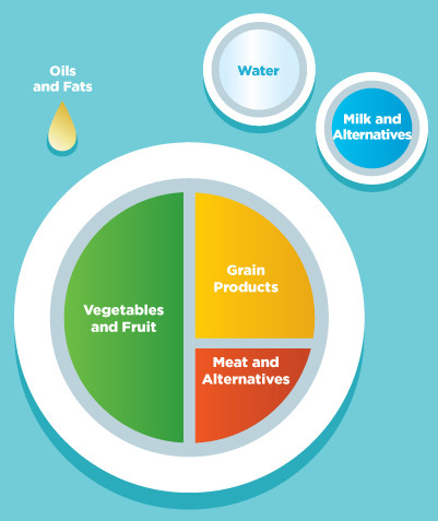Half your plate infographic