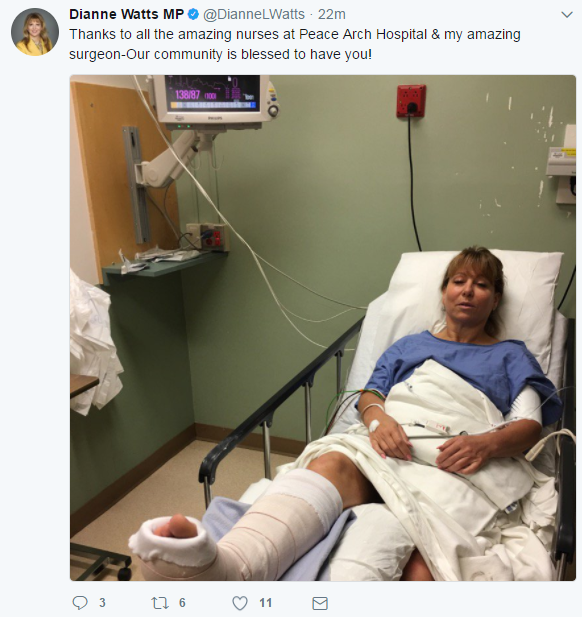 Screenshot of Dianne Watts' post on Twitter